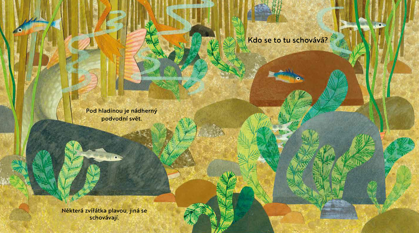 Kdo se to tu schovává? U ŘEKY – Knížka s odklápěcími okénky