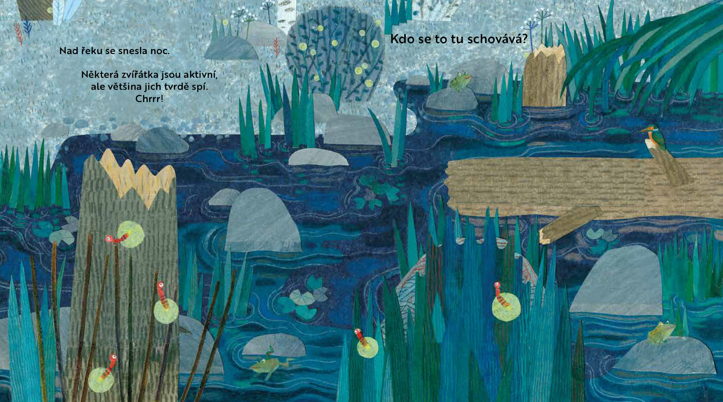 Kdo se to tu schovává? U ŘEKY – Knížka s odklápěcími okénky