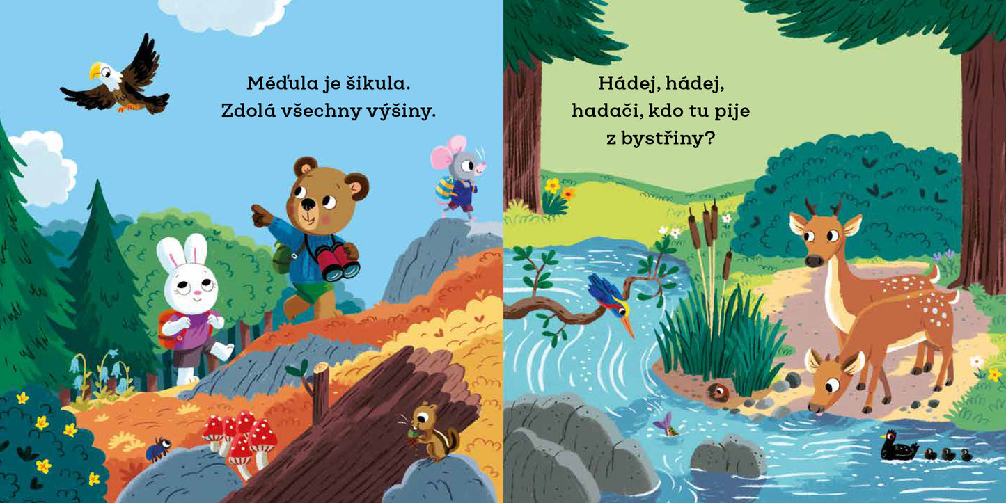 MÉĎULA ŠIKULA TÁBORNÍKEM – Obrázky s pohyblivými prvky