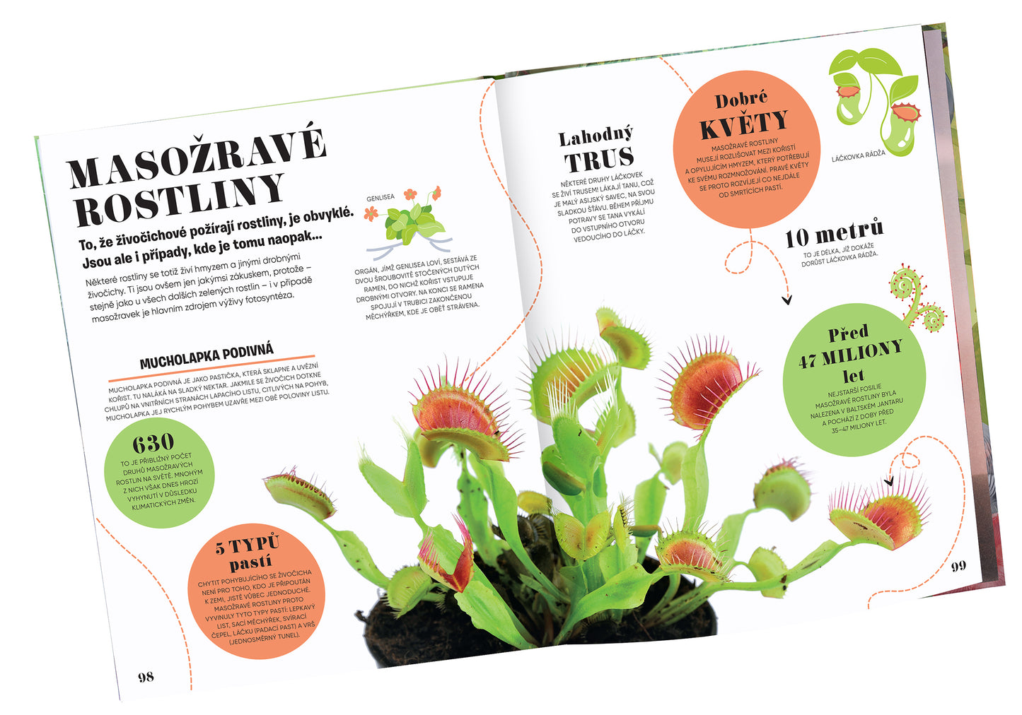 5 MINUT A VÍM: PŘÍRODA – 1000+ základních informací