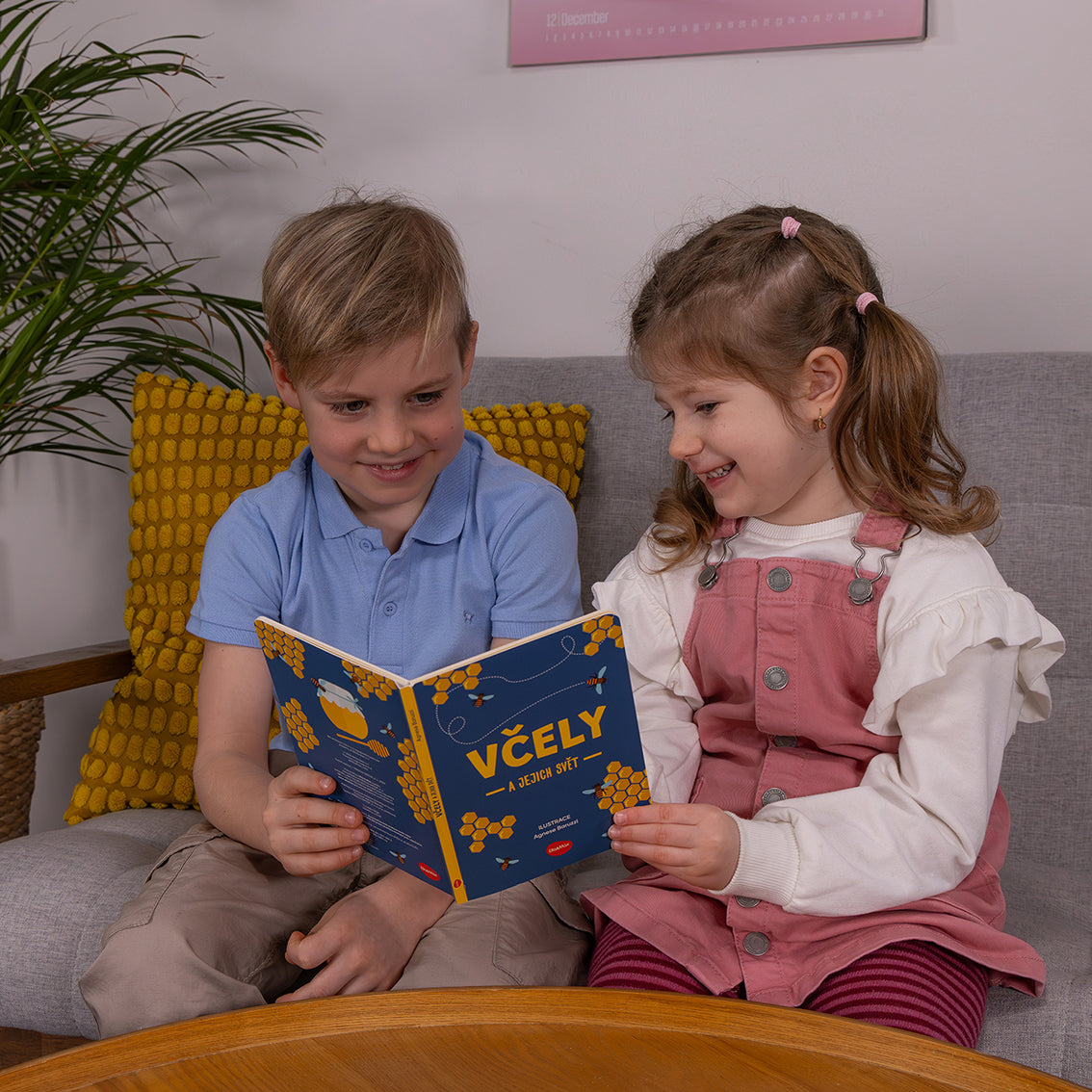 Na cesty – VČELY A JEJICH SVĚT, box: kniha a hry