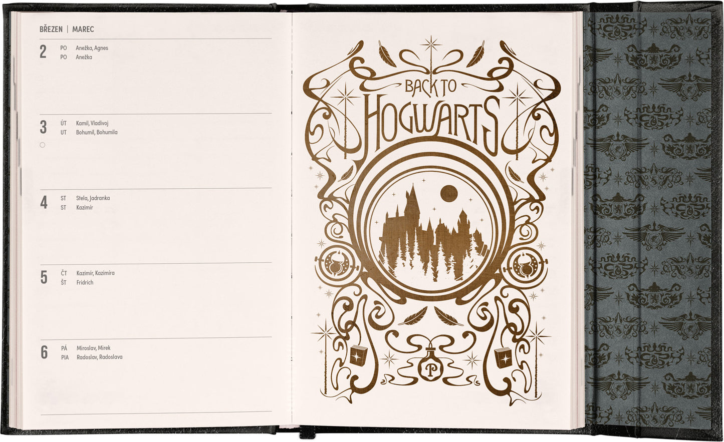 Týdenní magnetický diář Harry Potter –  Lumos 2026, 11 x 16 cm