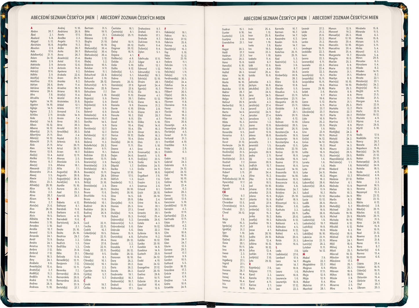 Planbook diář/notes Liška 2026, 13 x 21 cm