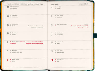 Planbook diář/notes Kočka 2027, 13 x 21 cm