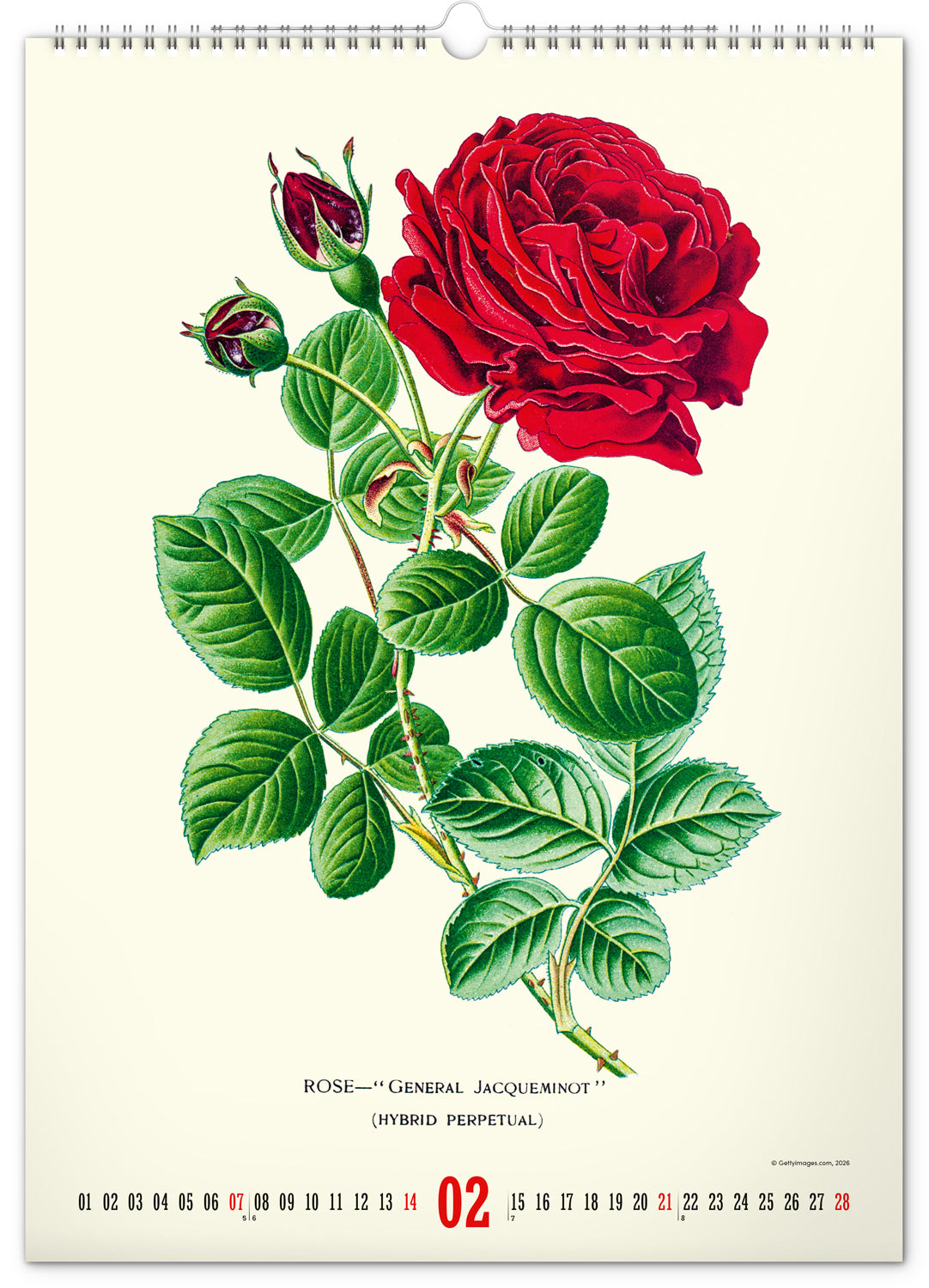 Nástěnný kalendář Vintage plakáty – herbář 2027, 33 x 46 cm