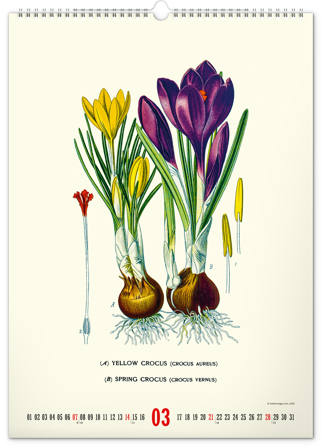 Nástěnný kalendář Vintage plakáty – herbář 2027, 33 x 46 cm