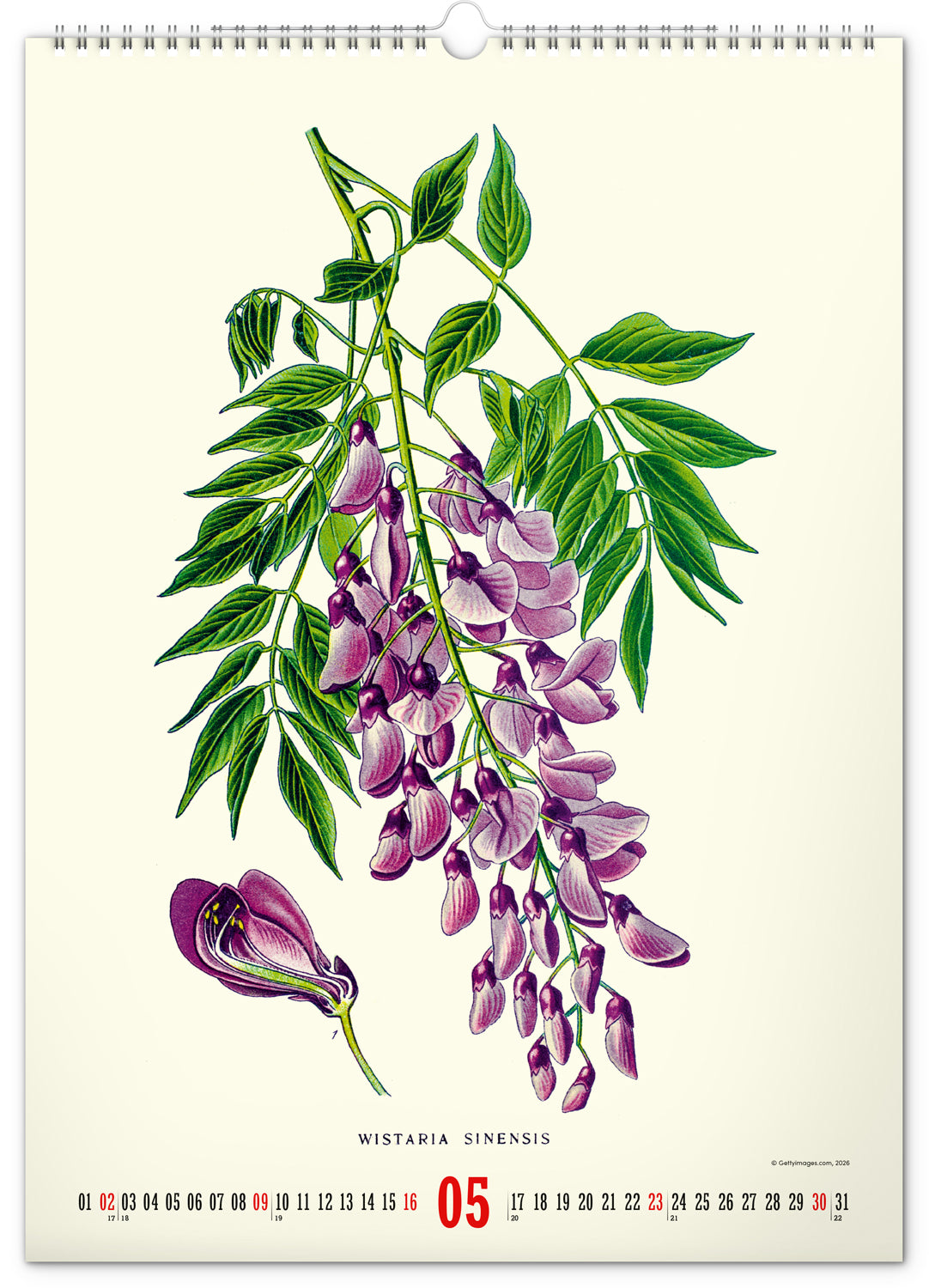 Nástěnný kalendář Vintage plakáty – herbář 2027, 33 x 46 cm