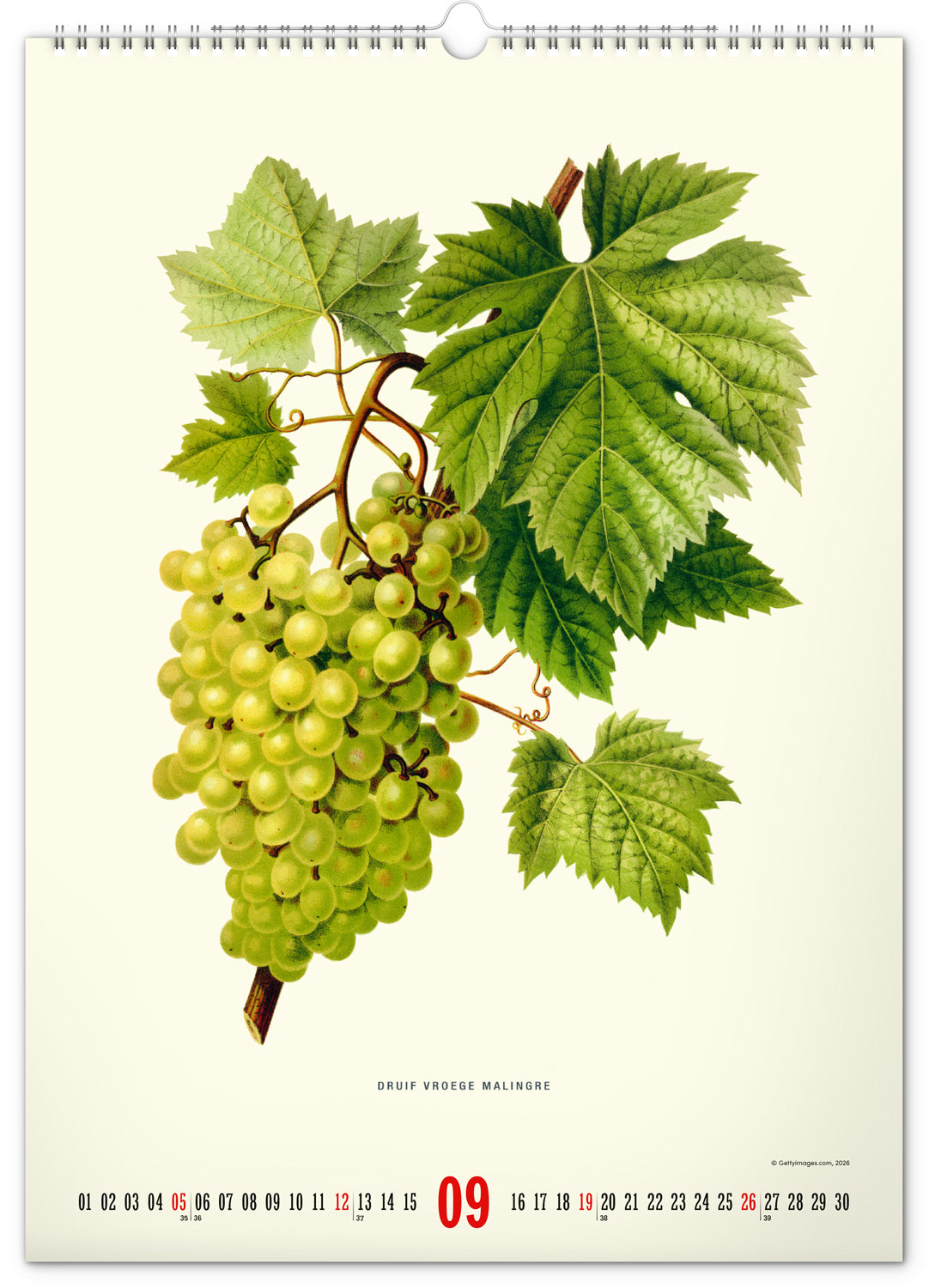 Nástěnný kalendář Vintage plakáty – herbář 2027, 33 x 46 cm