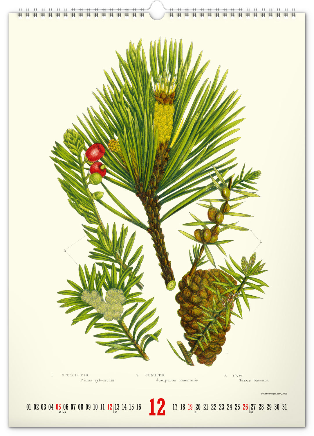 Nástěnný kalendář Vintage plakáty – herbář 2027, 33 x 46 cm