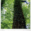 Nástěnný kalendář Stromy 2027, 33 x 46 cm