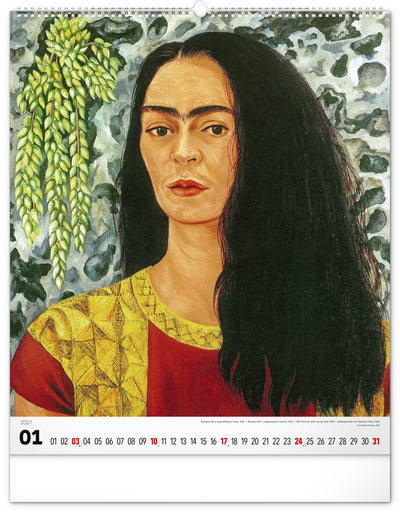 Nástěnný kalendář Frida Kahlo 2027, 48 x 56 cm