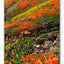 Nástěnný kalendář Krajina 2027, 12 x 48 cm