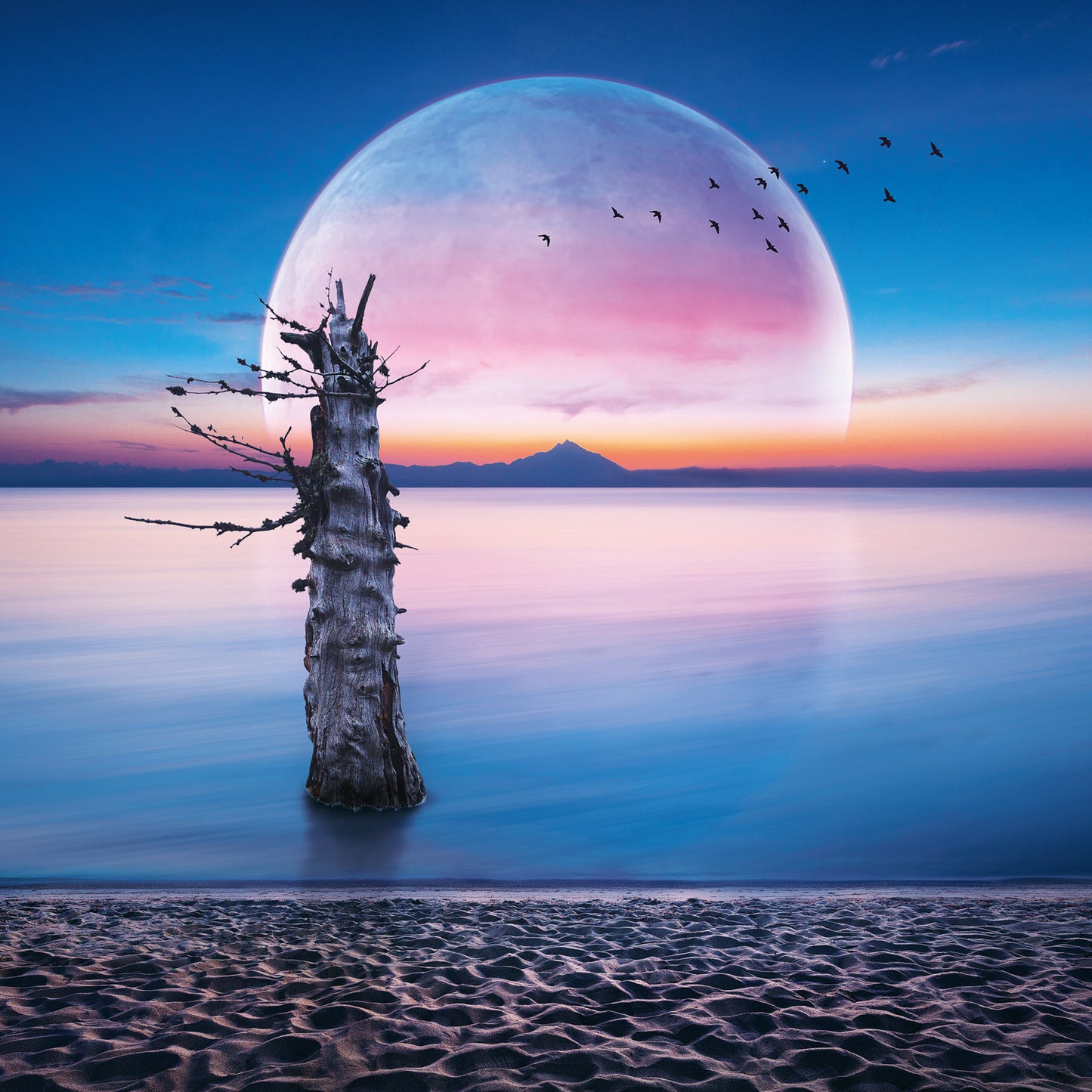 Poznámkový kalendář Měsíc 2026, 30 x 30 cm