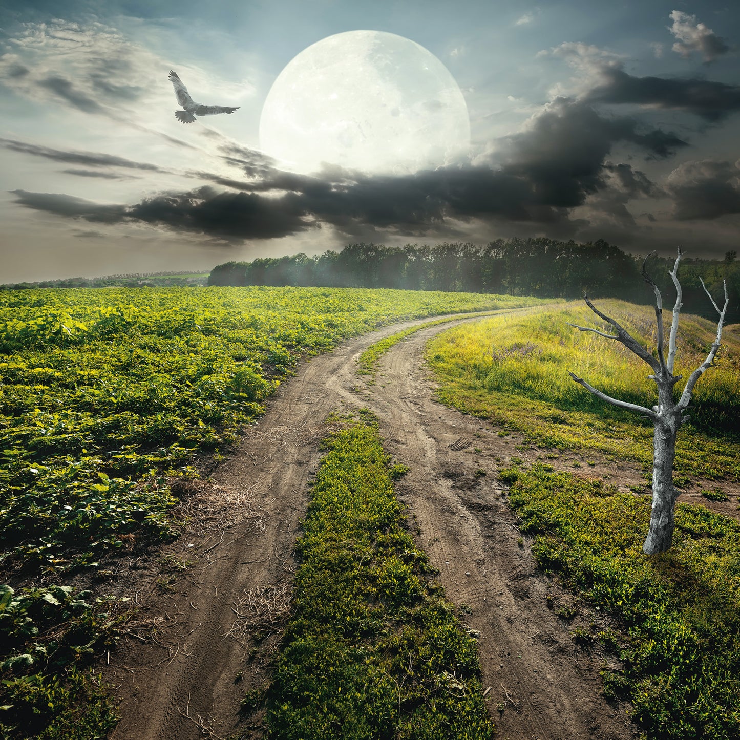 Poznámkový kalendář Měsíc 2026, 30 x 30 cm