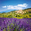 Poznámkový kalendář Provence 2026, 30 x 30 cm