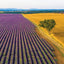 Poznámkový kalendář Provence 2026, 30 x 30 cm