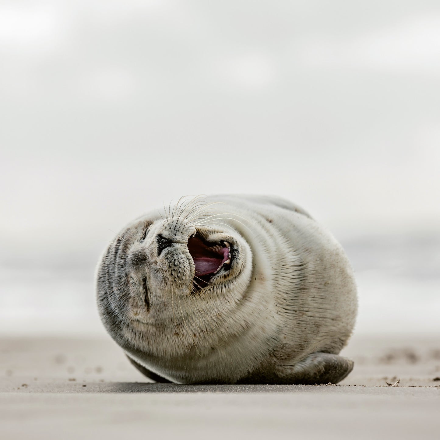 Poznámkový kalendář Úsměv, prosím 2026, 30 x 30 cm