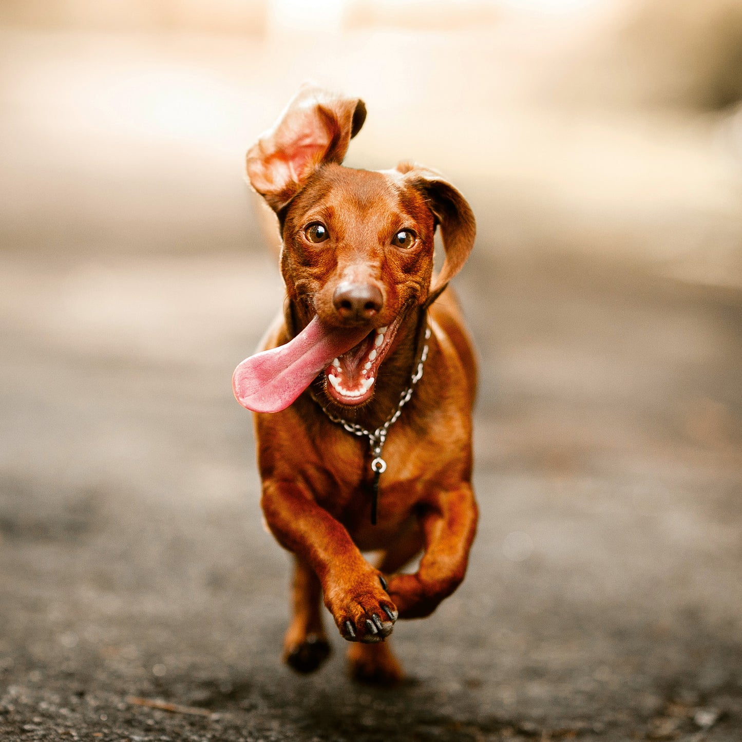 Poznámkový kalendář Úsměv, prosím 2026, 30 x 30 cm