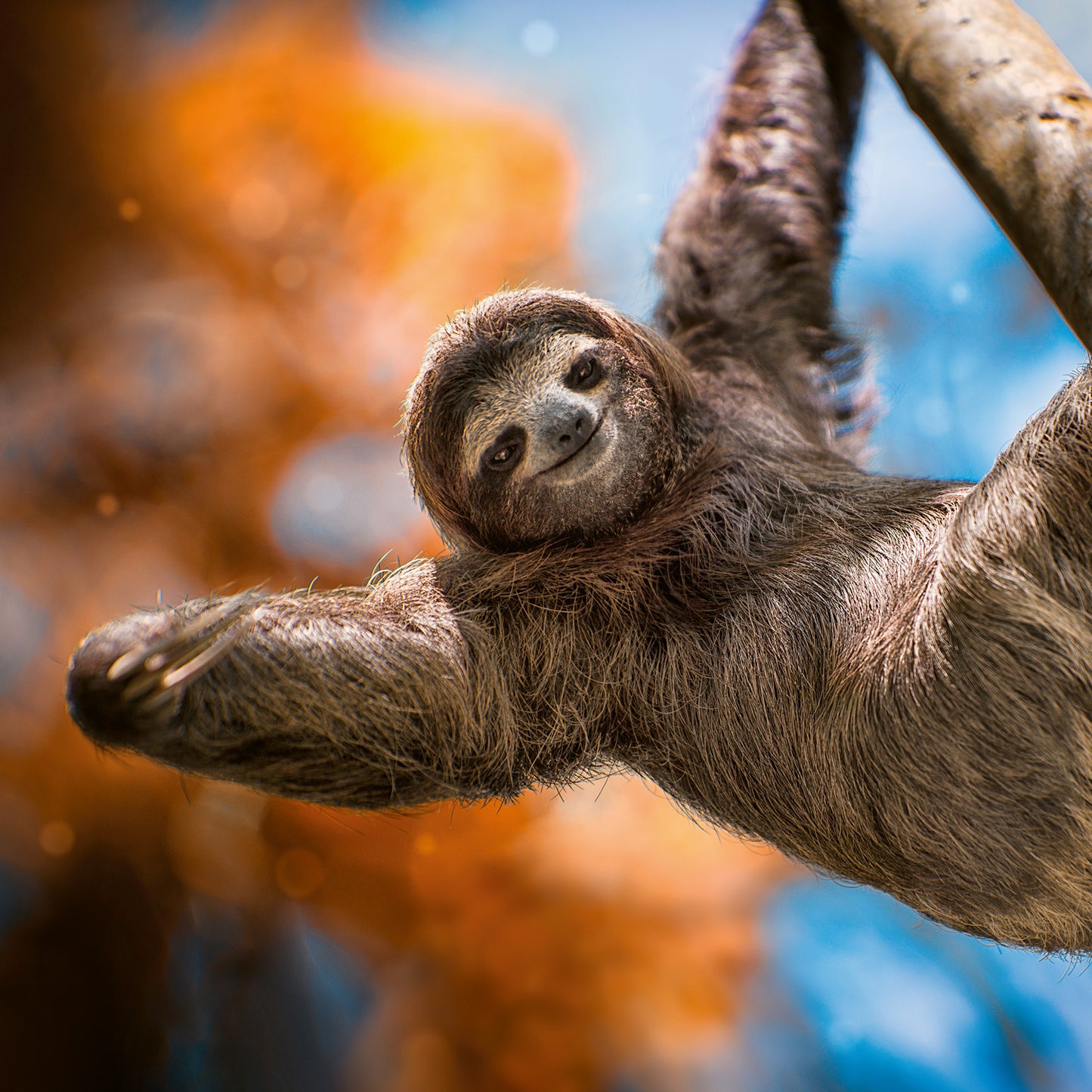 Poznámkový kalendář Úsměv, prosím 2026, 30 x 30 cm