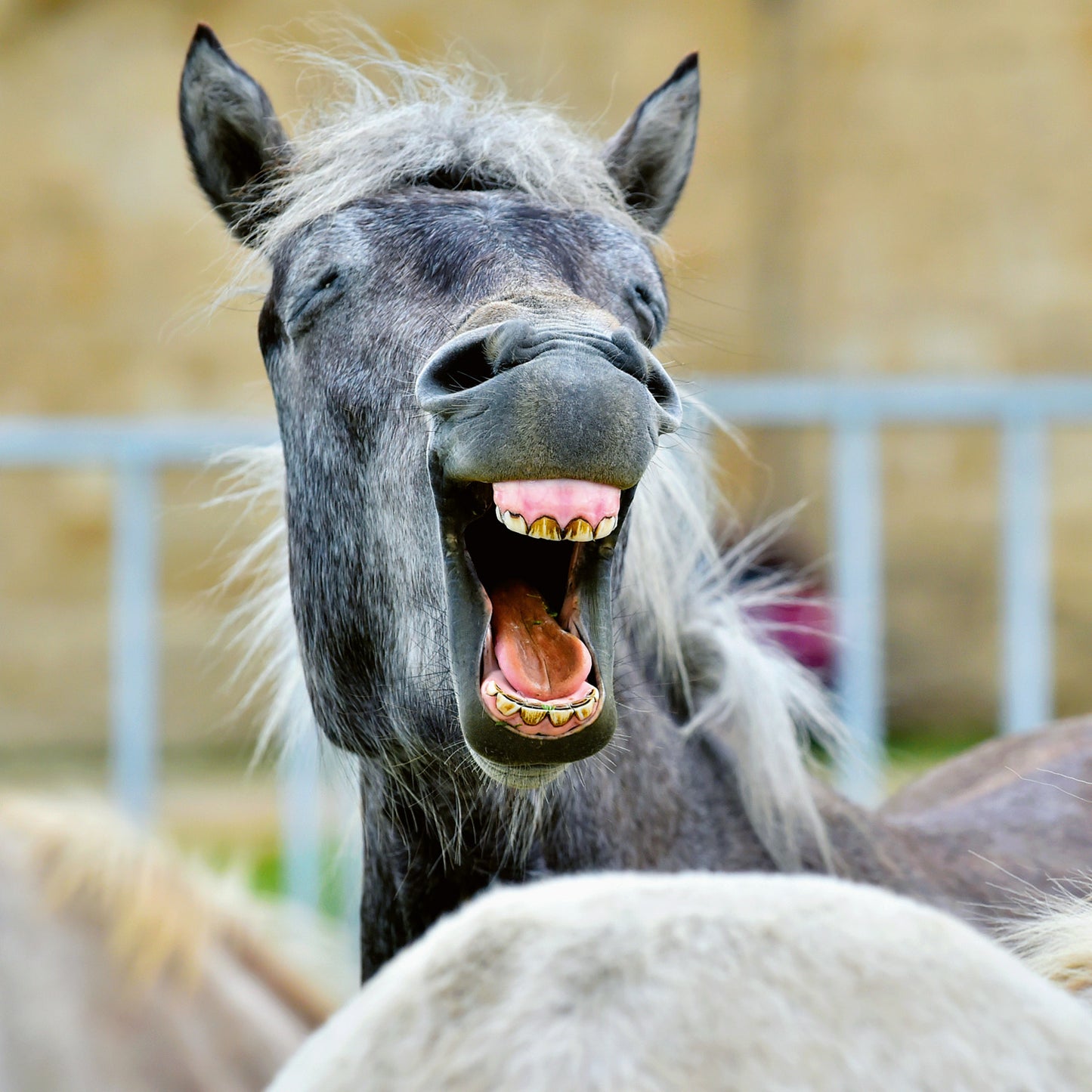 Poznámkový kalendář Úsměv, prosím 2026, 30 x 30 cm