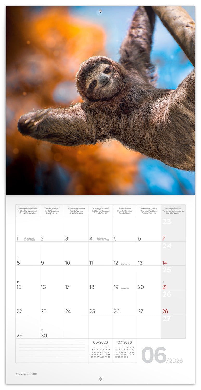 Poznámkový kalendář Úsměv, prosím 2026, 30 x 30 cm