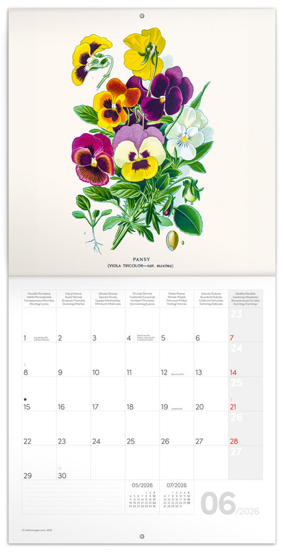 Poznámkový kalendář Herbář 2026, 30 x 30 cm