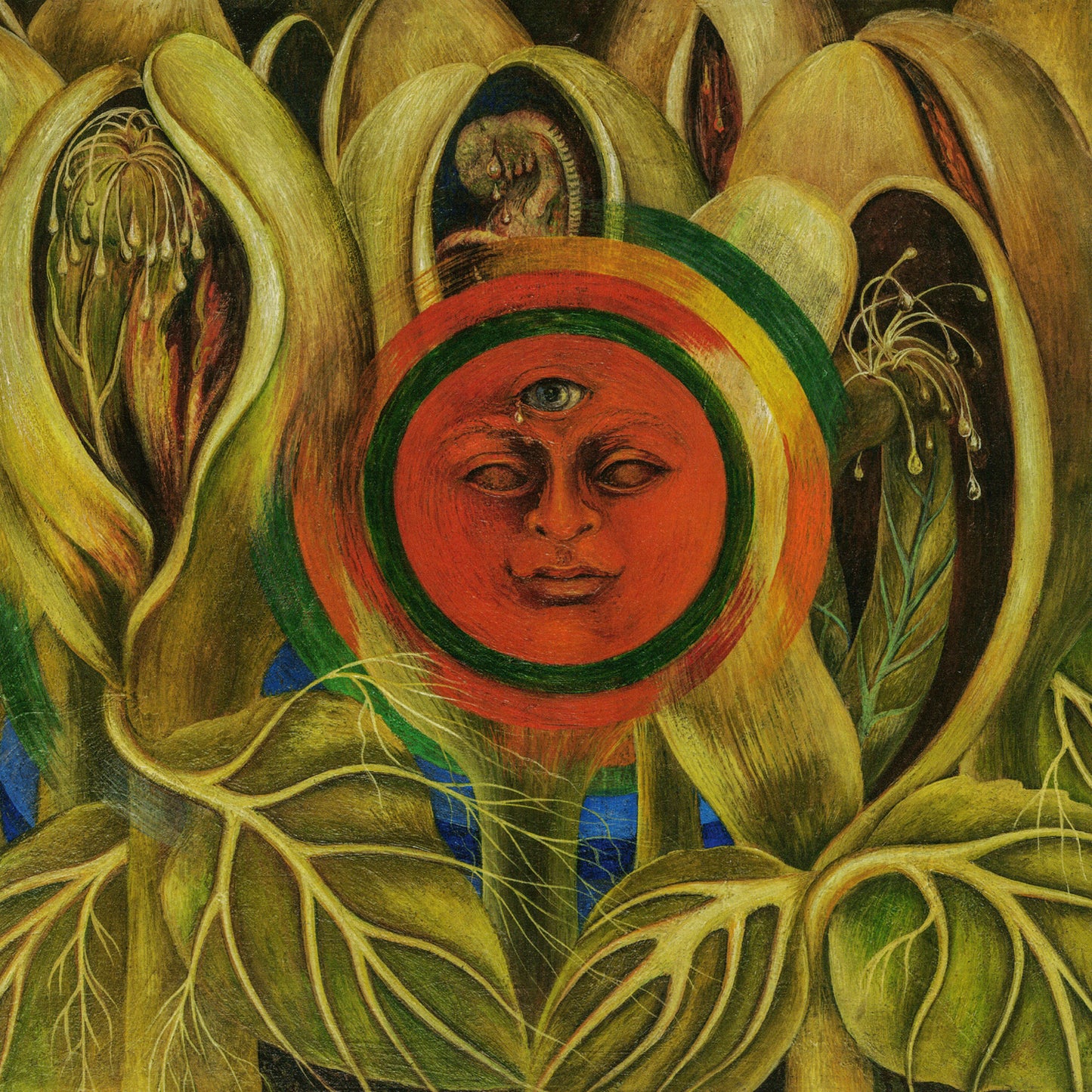Poznámkový kalendář Frida Kahlo 2026, 30 x 30 cm