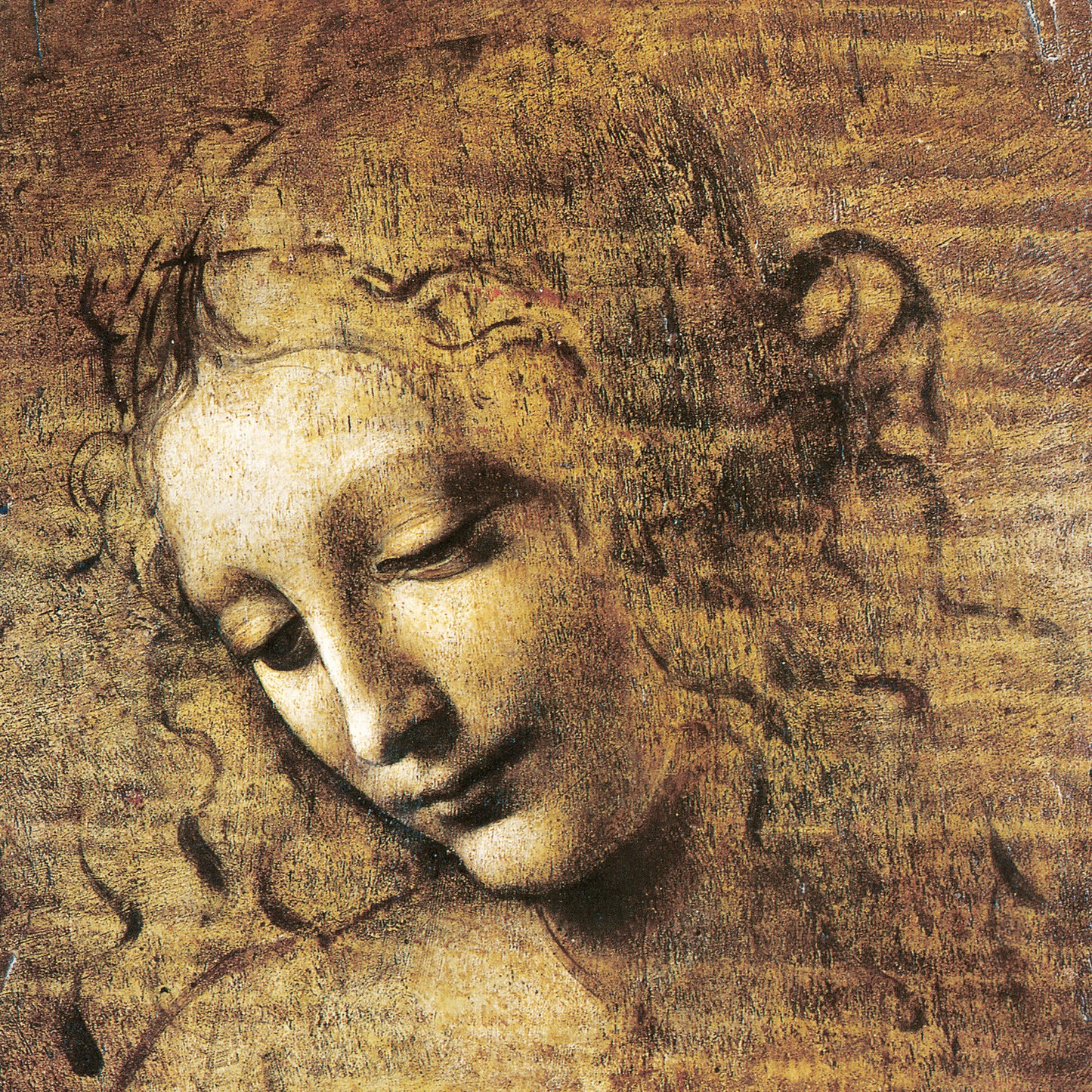 Poznámkový kalendář Leonardo da Vinci 2026, 30 x 30 cm