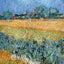 Poznámkový kalendář Vincent van Gogh 2027, 30 x 30 cm
