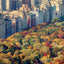 Poznámkový kalendář New York 2027, 30 x 30 cm