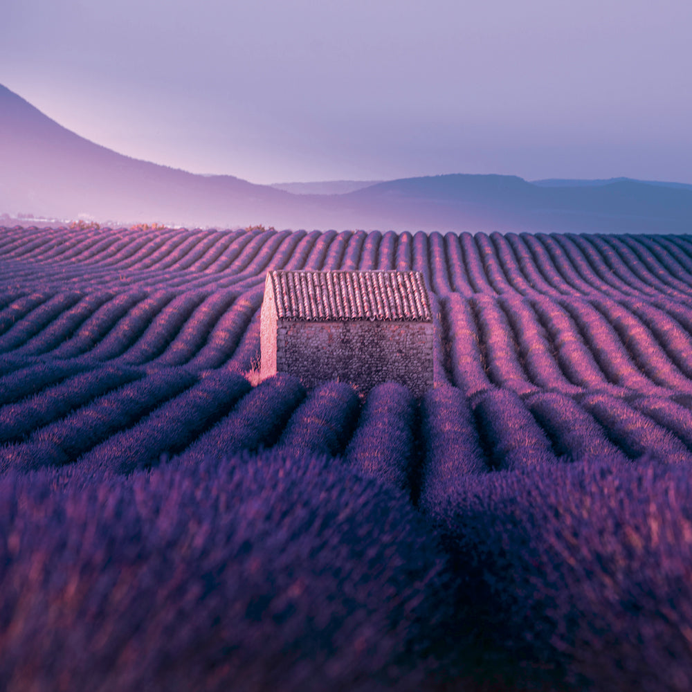 Poznámkový kalendář Provence 2027, 30 x 30 cm