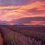 Poznámkový kalendář Provence 2027, 30 x 30 cm