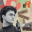 Poznámkový kalendář Harry Potter 2027, 30 x 30 cm