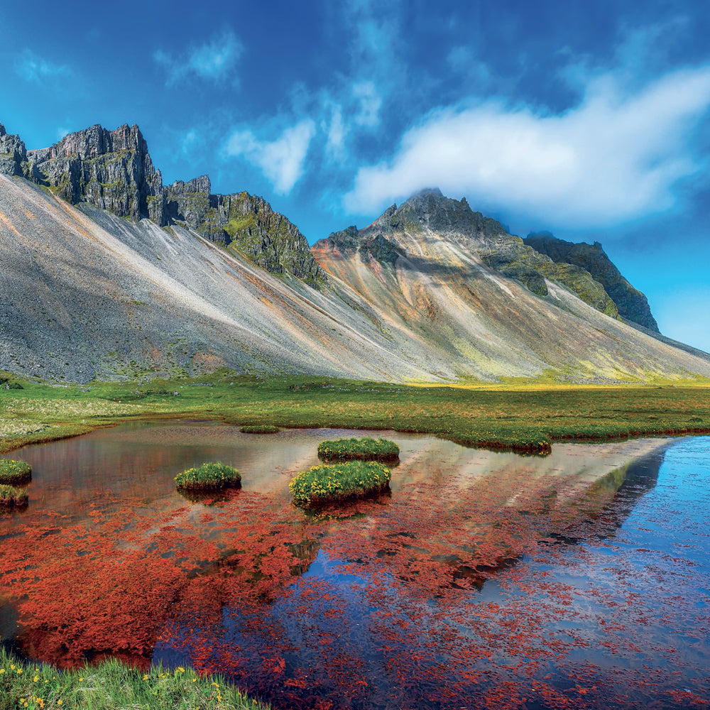 Poznámkový kalendář Naše Planeta 2027, PLASTIC FREE, 30 x 30 cm