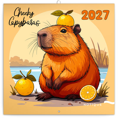 Poznámkový kalendář Rozverné kapybary 2027, 30 x 30 cm