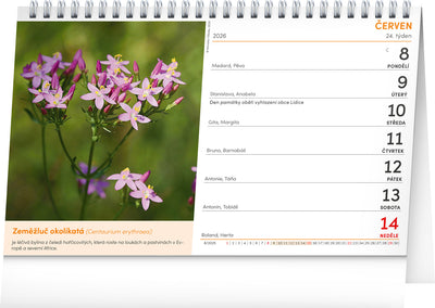 Stolní kalendář Přírodní lékárna 2026, 23,1 x 14,5 cm