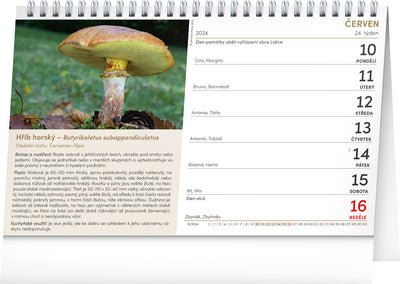 Stolní kalendář Houby 2026, 23,1 x 14,5 cm