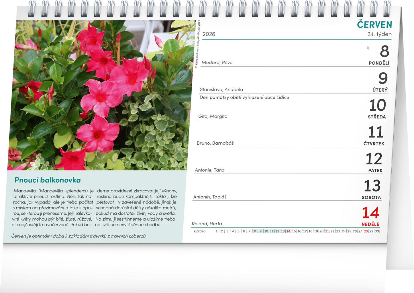 Stolní kalendář Zahrádkář 2026, 23,1 x 14,5 cm